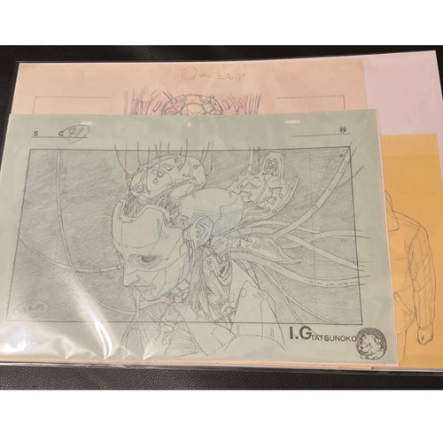 Ghost the shell - shell, esposizione